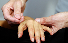 Traditional-Chinese-Medicine