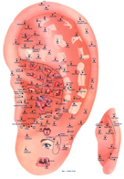 Auricular-Acupuncture-West-Orange