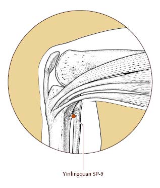 Pain Relief by West Orange Acupuncturists Steven Goldfarb